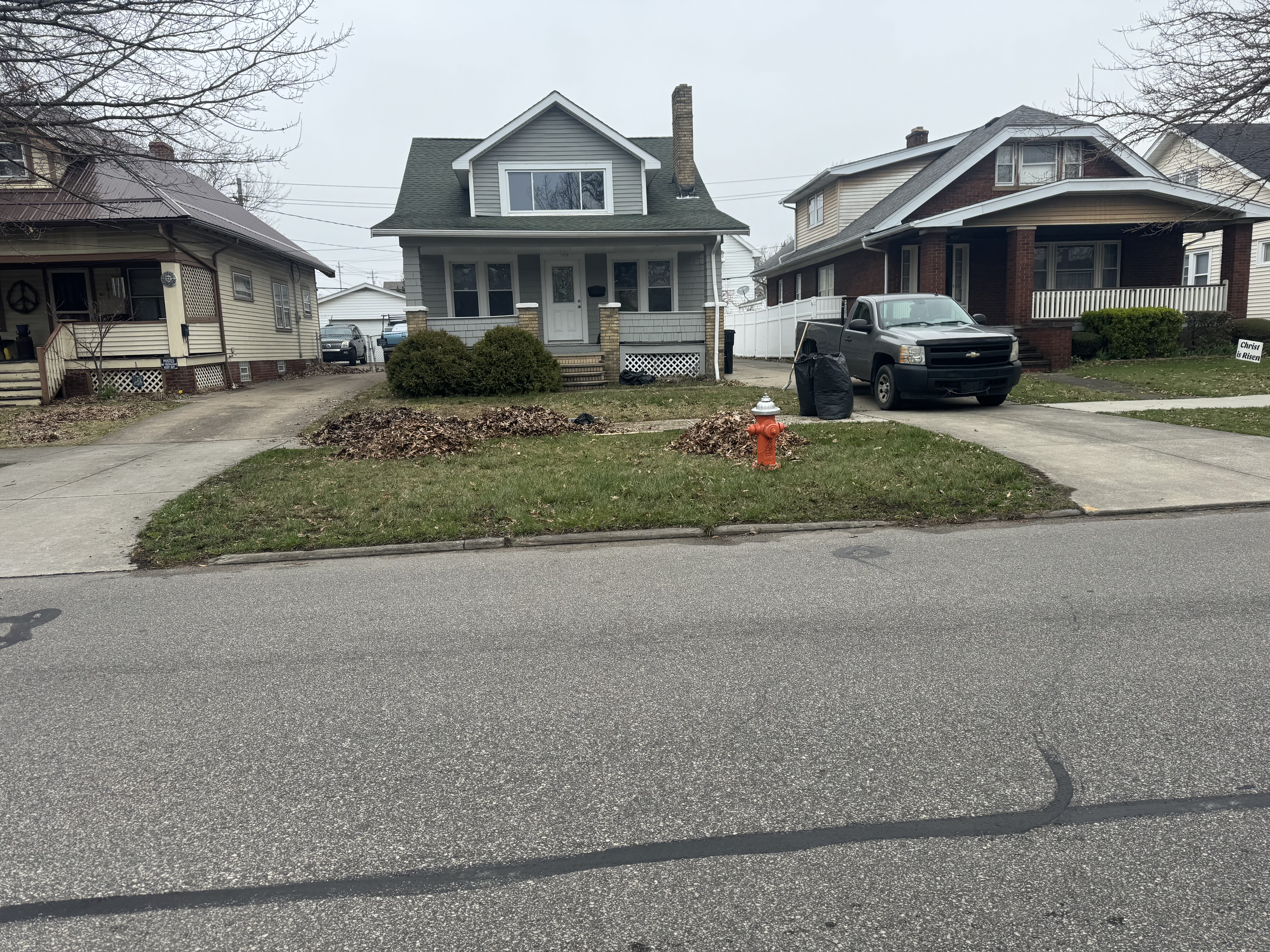 Leaf Cleanup